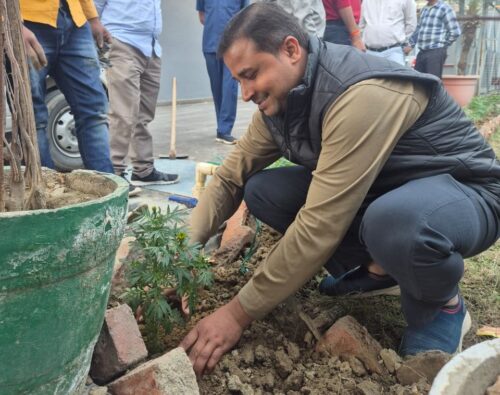 World Tree Plantation Day